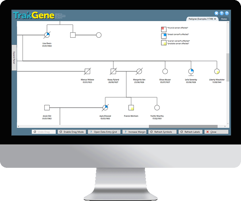 herramienta-de-dibujo-de-cuadro-genealógico-genética-clínica