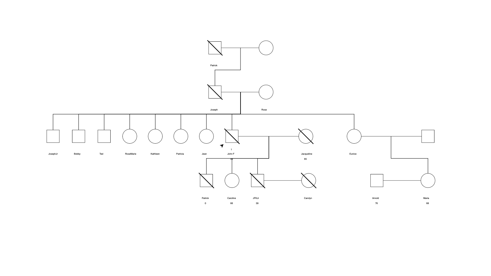 Usando software de dibujo genealógico para reproducir el árbol genealógico de JFK 4